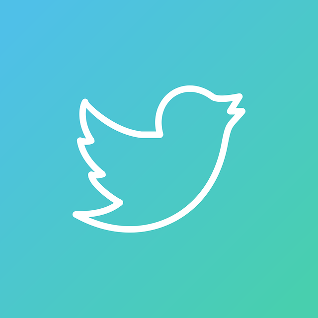 Twitter JonesPawa